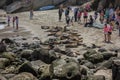 La Jolla beach San Diego