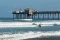 Female Surfer Heads Out to Sea Near Scripps Pier in La Jolla, California