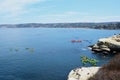 La Jolla Cove kayak tours