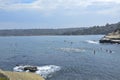 La Jolla Roughwater Royalty Free Stock Photo