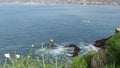 La Jolla, San Diego, CA USA -24 JAN 2020: Group of people on kayaks in ocean, active tourists on canoe paddling and looking for