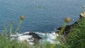 La Jolla, San Diego, CA USA -24 JAN 2020: Group of people on kayaks in ocean, active tourists on canoe paddling and looking for