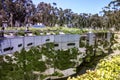 La Jolla, San Diego, California, USA - April 3, 2017: The mirrored pathway to Geisel Library, the main library at UCSD. Royalty Free Stock Photo