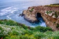 La Jolla sea cave Royalty Free Stock Photo