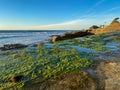 La Jolla shores and beach in La Jolla San Diego Royalty Free Stock Photo