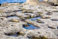 La Jolla Tide Pools Royalty Free Stock Photo