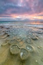 La Jolla Tide Pools Royalty Free Stock Photo