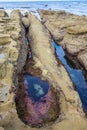 La jolla tidepools at low tide Royalty Free Stock Photo