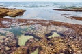 La jolla tidepools at low tide Royalty Free Stock Photo