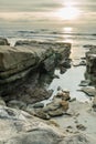 Diversity Graces the Coastal Landscape of California