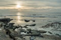 Diversity Graces the Coastal Landscape of California