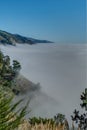 Diversity Graces the Coastal Landscape of California