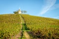 Hill of Fleurie village Royalty Free Stock Photo