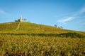 Hill of Fleurie village Royalty Free Stock Photo