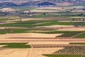 La Mancha plain with geometries of agricultural plots of land Royalty Free Stock Photo