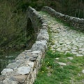 La Margineda romanesque bridge Royalty Free Stock Photo