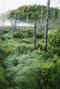 La Mauricie National Park