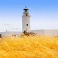 La Mola lighthouse in formentera with golden grass