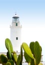 La Mola lighthouse in formentera with nopal cactus