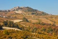 La Morra town on hill surrounded by fields, vineyards in Italy