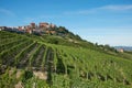 La Morra town in Piedmont, Langhe hills with vineyards in Italy