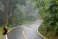 La Nina cause a Heavy Rain in Tropical Forest