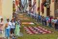 La Orotava, Tenerife, Spain - June 27, 2019. Beautiful flower carpets in La Orotava during Corpus Christi. Famous religious event