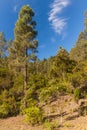 La Orotava Valley of Teneriffe Royalty Free Stock Photo