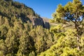 La Orotava Valley of Teneriffe