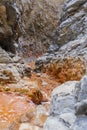 La palma cascada de los colores river