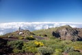 La Palma observatories over clouds