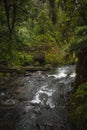 La Paz Waterfall Garden, Costa Rica Royalty Free Stock Photo