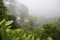 La Paz Waterfall Garden, Costa Rica Royalty Free Stock Photo