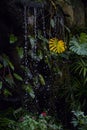 La Paz Waterfall Garden, Costa Rica Royalty Free Stock Photo