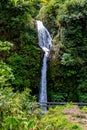 La Paz Waterfall gardens, with green tropical forest in Central Valley, Costa Rica Royalty Free Stock Photo