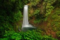 La Paz Waterfall gardens, with green tropical forest, Central Valley, Costa RIca Royalty Free Stock Photo