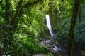 La Paz Waterfall Gardens Nature Park - Costa Rica Royalty Free Stock Photo