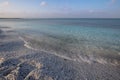 La Pelosa beach, Sardinia, Italy Royalty Free Stock Photo