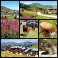 La Plagne in the French Alps Royalty Free Stock Photo