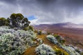 La Plaine des Sables, volcano area, Reunion Island Royalty Free Stock Photo