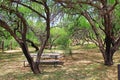 La Posta Quemada Ranch Picnic Area in Colossal Cave Mountain Park Royalty Free Stock Photo