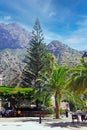 Beautiful calm scenic square of coastal mountain town, canarian island pine tree, palm trees, blue sky