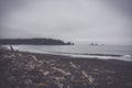 La Push Beach, Pacific coast, Washington USA