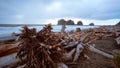 La Push - the famous beach at the Quileute Reservation - travel photography Royalty Free Stock Photo