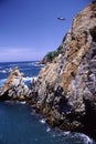 La Quebrada-Acapulco Mexico Royalty Free Stock Photo