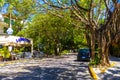 La Quinta Avenida street road walk Playa del Carmen Mexico