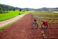 La Rioja vineyard fields in The Way of Saint James Royalty Free Stock Photo