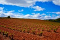 La Rioja vineyard fields in The Way of Saint James Royalty Free Stock Photo