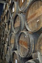 La Romana, Dominican Republic, circa September 2022 - Old oak wook rum barrels in a rum factory Royalty Free Stock Photo