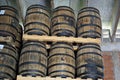 La Romana, Dominican Republic, circa September 2022 - Old oak wook rum barrels in a rum factory Royalty Free Stock Photo